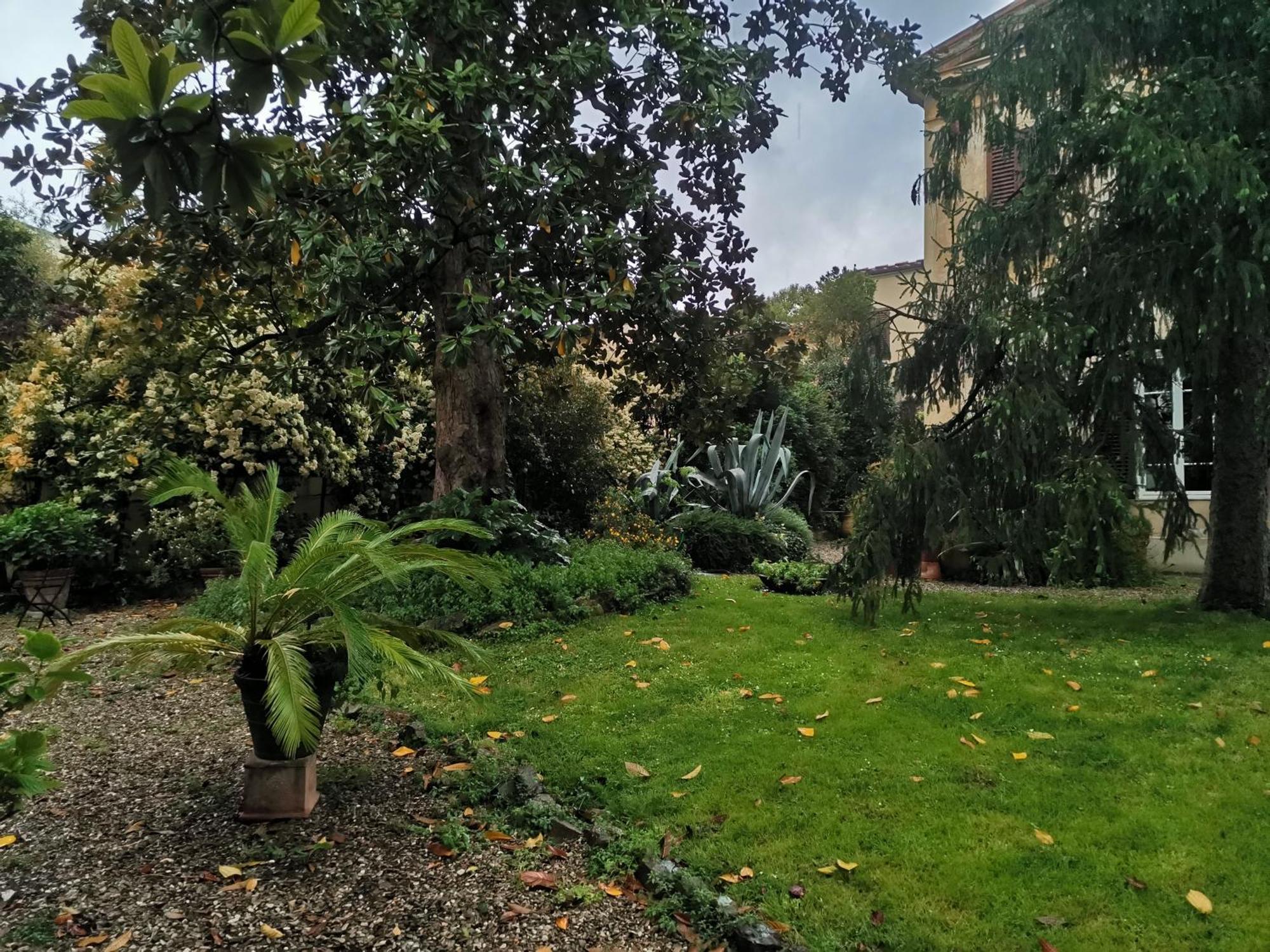 Pintino Garden Apartamento Florencia