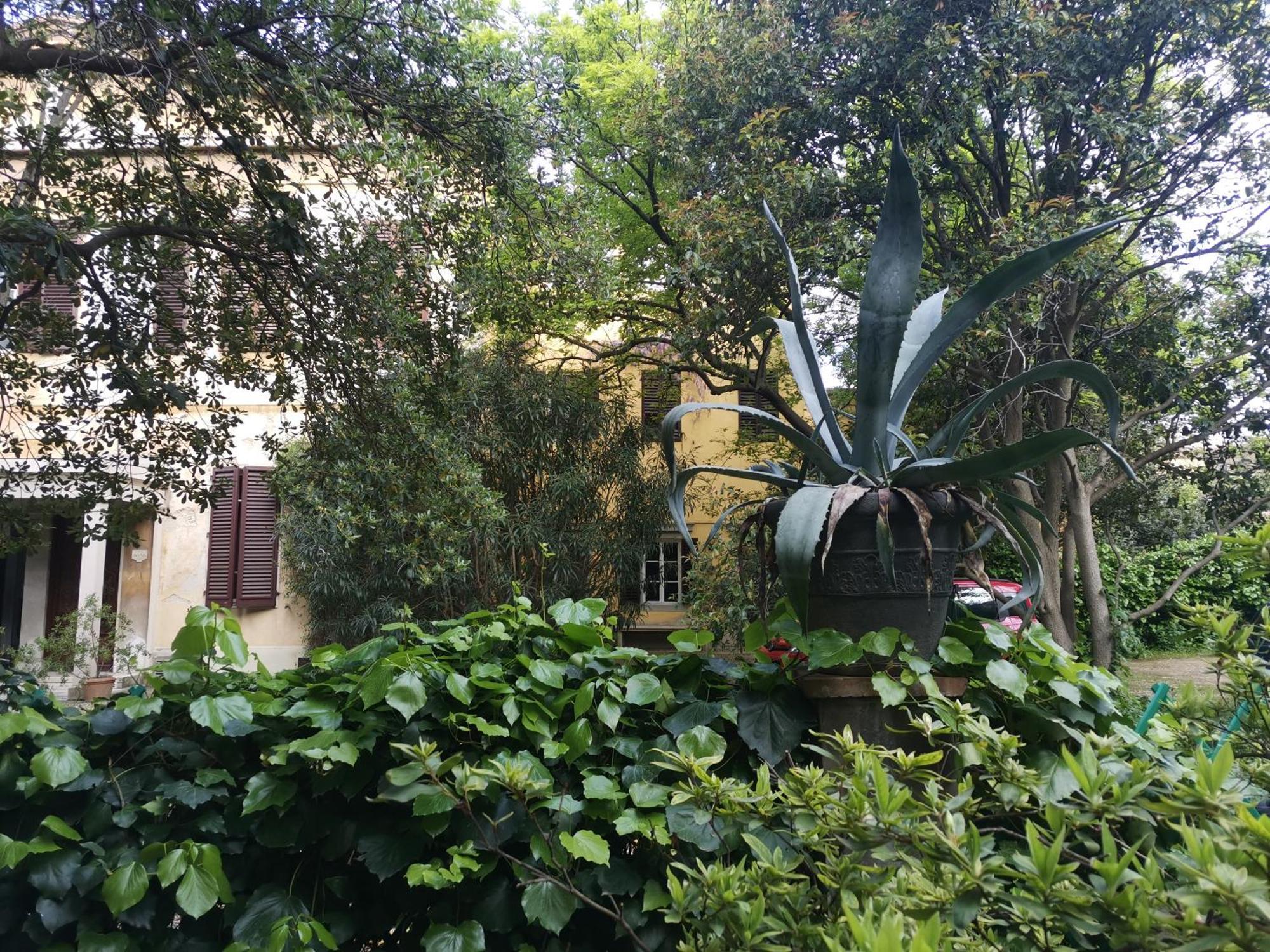 Apartamento Pintino Garden *